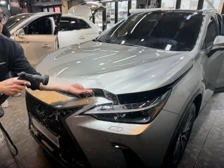 렉서스 NX350h 전시장 출장검수 후 PPF 프론트 패키지시공기, 리코쉴드 PPF, 카스페이스 서울강북점 / 광진구 중곡동