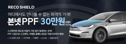 테슬라 주니퍼 구매 후 신차검수, 신차패키지는 필수!! / 광진구 중곡동