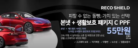 테슬라 주니퍼 구매 후 신차검수, 신차패키지는 필수!! / 광진구 중곡동