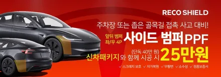 테슬라 주니퍼 구매 후 신차검수, 신차패키지는 필수!! / 광진구 중곡동