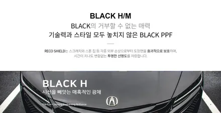 카니발 풀체인지 * KA4 화이트 ★블랙PPF / 서울 광진구, 중곡, 건대