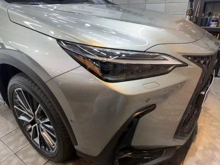 렉서스 NX350h 전시장 출장검수 후 PPF 프론트 패키지시공기, 리코쉴드 PPF, 카스페이스 서울강북점 / 광진구 중곡동