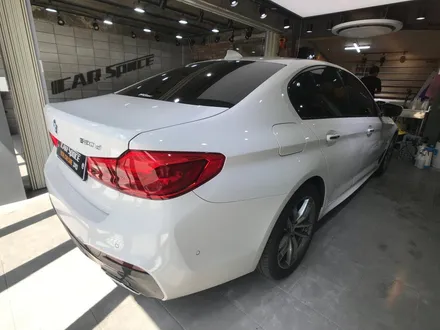 강원도 원주에서 오신 귀한 BMW 520D 본네트 PPF 필름 시공기! / 서울 광진구, 중곡, 건대