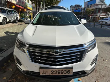이쿼녹스 퓨어 화이트, 루마 버텍스 700, 생활보호PPF / 서울 광진구, 중곡, 건대