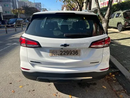 이쿼녹스 퓨어 화이트, 루마 버텍스 700, 생활보호PPF / 서울 광진구, 중곡, 건대
