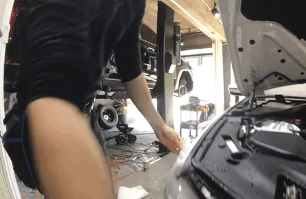강원도 원주에서 오신 귀한 BMW 520D 본네트 PPF 필름 시공기! / 서울 광진구, 중곡, 건대