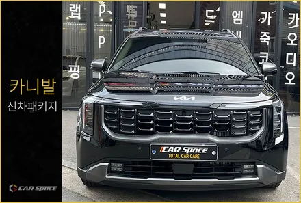 카니발 오로라블랙펄 신차패키지 버텍스 900+700 이라면 / 서울 구로 영등포