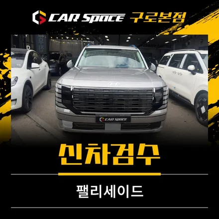 팰리세이드 쉬머링 실버 메탈릭 실제 컬러는 / 서울 구로 영등포