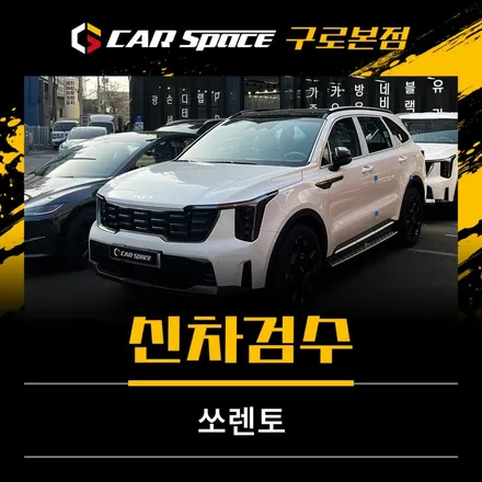 쏘렌토 신차검수, 혹시 모를 하자에 미리 대비하세요 ! / 서울 구로 영등포