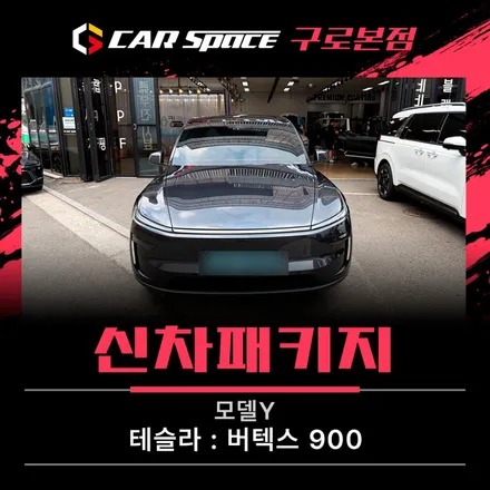 모델Y 썬팅, 버텍스 900 25% 농도로 더 프라이빗하게! / 서울 구로 영등포