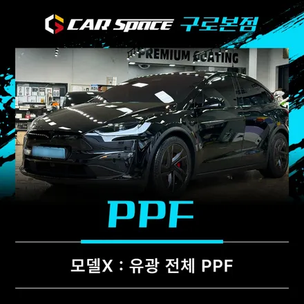 테슬라 모델X 전체PPF 꼭 필요할까? 다이아몬드 블랙 시공 후기 / 서울 구로 영등포