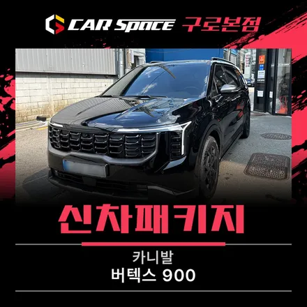 카니발 신차패키지 구성 고민?  차박레일, 모노륨, 전동 사이드스텝 / 서울 구로 영등포