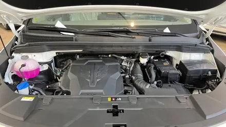 카니발 하이리무진 신차검수, 넓은만큼 꼼꼼하게. / 서울 구로 영등포