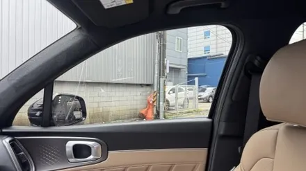 쏘렌토 신차패키지 시공했더니 럭셔리한 블랙 통일감 완성 카스페이스 구로 / 서울 구로 영등포