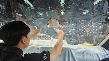 고난이도 모델X 썬팅도 문제없이..? 테슬라 전문점! / 서울 구로 영등포