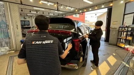 카니발 페이스리프트 오로라블랙펄 디테일한 신차검수 결과?! / 서울 구로 영등포