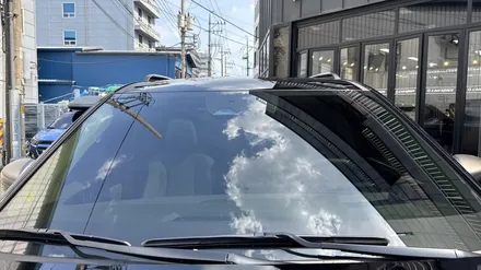 카니발 신차패키지 구성 고민?  차박레일, 모노륨, 전동 사이드스텝 / 서울 구로 영등포