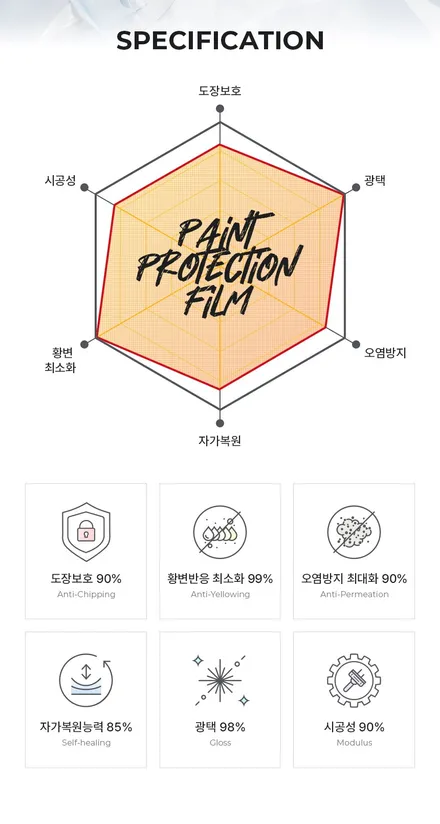 모델Y 화이트 티나인R100, 유리막 코팅과 시트 코팅 작업! / 서울 구로 영등포