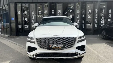 디 올 뉴 팰리세이드 윈도 틴팅, 필름 및 농도 선택 잘하는 방법 / 서울 구로 영등포
