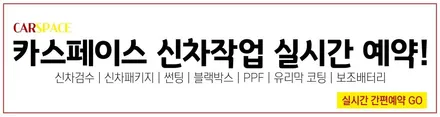 모델Y 스탠다드, 레이노S9 썬팅 해봤는데요! / 서울 구로 영등포