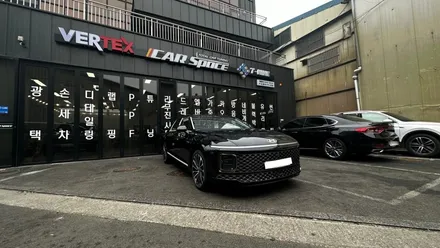 전문기기들과 함께한 그랜저 신차검수 / 서울 구로 영등포