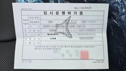 팰리세이드 신차검수, 작은 하자도 놓치지 않습니다! / 서울 구로 영등포