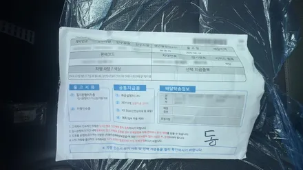 팰리세이드 쉬머링 실버 메탈릭 실제 컬러는 / 서울 구로 영등포