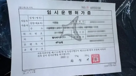 카스페이스 구로 전문가가 하는 팰리세이드 신차검수, 뭐가 다를까 / 서울 구로 영등포
