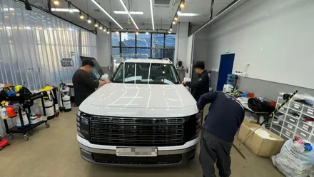 겉보기엔 멀쩡했던 팰리세이드 화이트 신차검수로 드러난 하자들 / 서울 구로 영등포