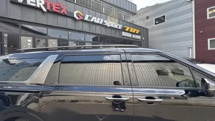 카니발 신차패키지 구성 고민?  차박레일, 모노륨, 전동 사이드스텝 / 서울 구로 영등포