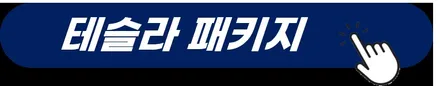 테슬라 모델3 전기차 신차검수 잘하는 곳! 카스페이스 본사 구로점 / 서울 구로 영등포