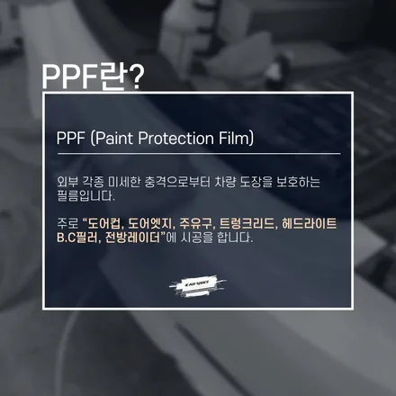 카니발 전체 PPF vs 부분 시공, 여러분의 선택은? / 서울 구로 영등포