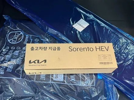 쏘렌토 신차검수는 꼭 전문가에게 맡기세요 / 서울 구로 영등포