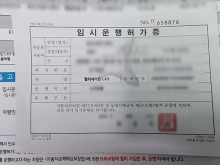 신형 팰리세이드 신차검수, 미세하자도 놓치지 마세요 / 서울 구로 영등포