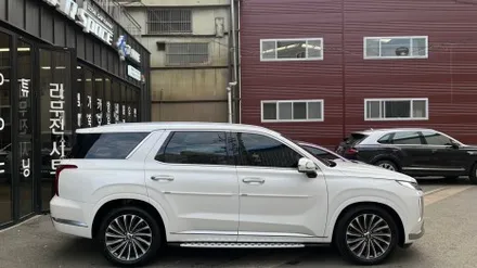 팰리세이드 신차패키지, 식빵등과 함께한 작업 과정 / 서울 구로 영등포