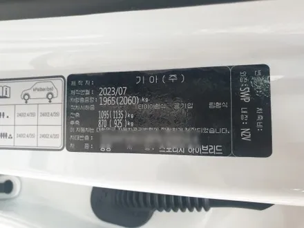 스포티지 NQ5 스노우 화이트 펄 신차패키지 시공 / 부산 해운대구 재송동