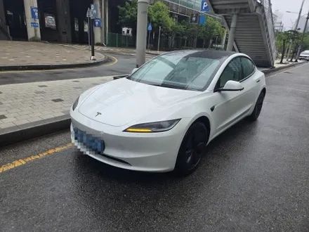 하버캠프 세라믹본드 40 20 농도 가격 시인성 후기 / 부산 해운대구 재송동