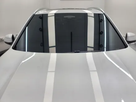해운대 수입차 신차검수, BMW X5 출장에서도 꼼꼼 / 부산 해운대구 재송동