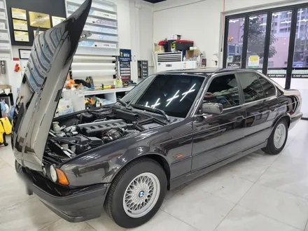 부산 루마버텍스 MK 썬팅으로 올드카 BMW 525i 재탄생 후기 / 부산 해운대구 재송동