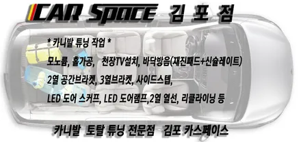 ★카니발 튜닝☆(김포 카스페이스) / 김포시 장기동