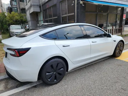 김포 테슬라 공식 시공점 모델3 틴팅 시공 후기 / 김포시 장기동