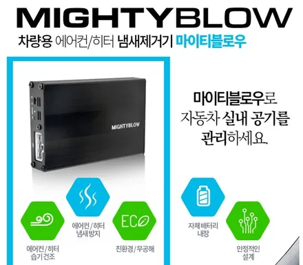 4세대 카니발 스노우화이트펄\'썬팅 아마테라스_HN+천장모니터 / 김포시 장기동