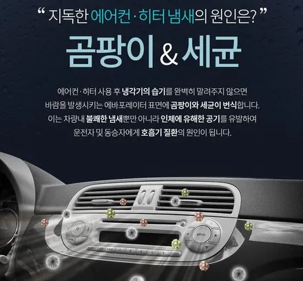 쏘렌토 화이트 신차패키지_김포 카스페이스 / 김포시 장기동