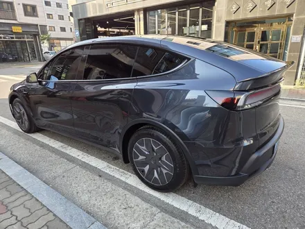 테슬라 Model YL 출고 후 가장 먼저 해야 하는 작업｜김포 버텍스900 신차패키지 후기 / 김포시 장기동