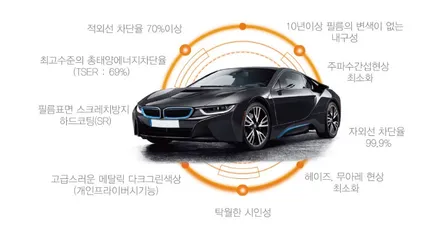 [카니발]쿠폰필름제거후 썬팅 재시공 했습니다. / 김포시 장기동