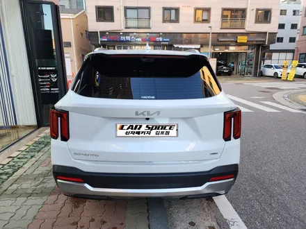 김포 쏘렌토썬팅 버텍스전문점 김포쏘렌토 전문점 / 김포시 장기동