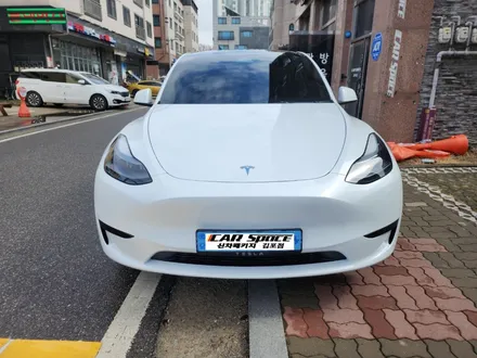 김포 모델y 틴팅 버텍스900/700필름 신차패키지 테슬라썬팅전문점 카스페이스김포점 / 김포시 장기동