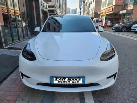 김포 테슬라 모델y 주니퍼 틴팅은 테슬라전문시공점 카스페이스김포점에서 하세요 / 김포시 장기동