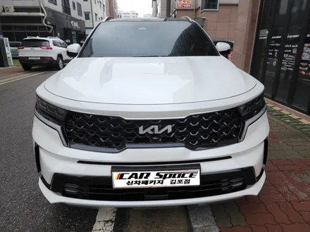 쏘렌토 화이트 신차패키지_김포 카스페이스 / 김포시 장기동
