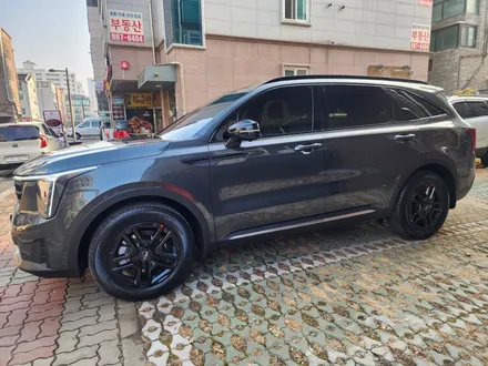김포 쏘렌토버텍스썬팅 김포신차패키지 전문점 장기동썬팅 / 김포시 장기동